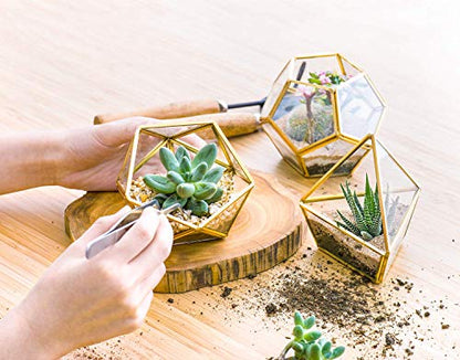 Mkono 3 Pack Fake Succulents in Geometric Glass Terrarium Gold Office Decor - color: Gold,green,clear