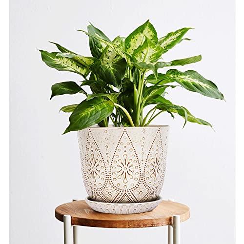 Gepege 8 Inch White Ceramic Plant Pot with Drainage & Saucer - color: Cream White, size: 8 Inch