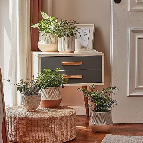LA JOLIE MUSE Ceramic Plant Pots, Flower Pots for Indoor Plants, Set of 2