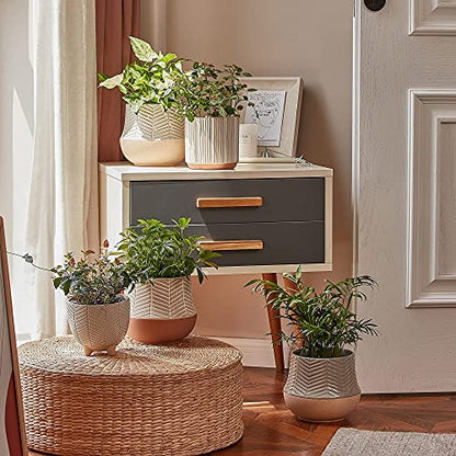 LA JOLIE MUSE Ceramic Plant Pots, Flower Pots for Indoor Plants, Set of 2