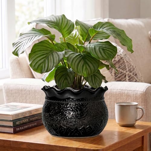Ceramic Planters for Plants, 10 Inch Flower Pots, Black - color: Black, size: 10 Inch