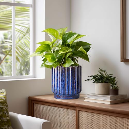 Ceramicfor Ceramic Plant Pots, 7.6 Inch, Blue - color: Blue, size: 7.6 Inch