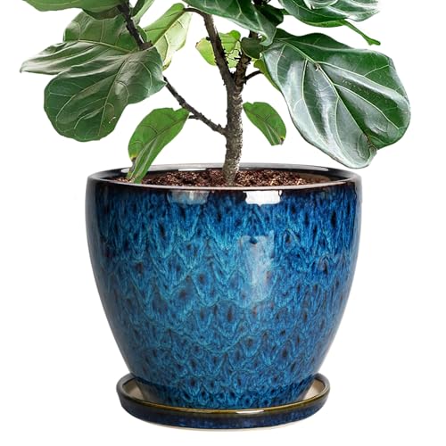 10 Inch Ceramic Planter Pot Round Plant Pot for Indoor Plants Outdoor Large Flower Pot with Drainage Hole and Saucer Blue - color: Blue-glaze, size: 10 Inch
