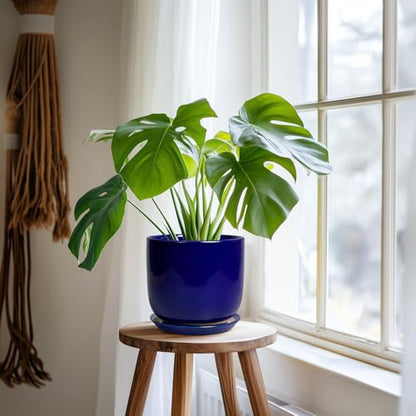 Ceramic Flower Pot 7 Inch, Round Planter, Blue - color: Dark Blue, size: 7 Inch