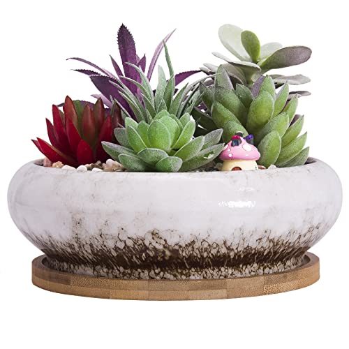 Bonsai Pots, 7.3 Inch Large Succulent Pots with Drainage Shallow Plant Pots - color: White