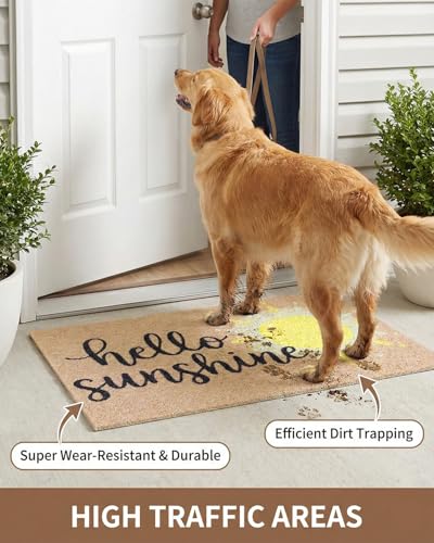 Cheerful Hello Sunshine Coil Door Mat 20x30 Inch - color: Hello Sunshine
