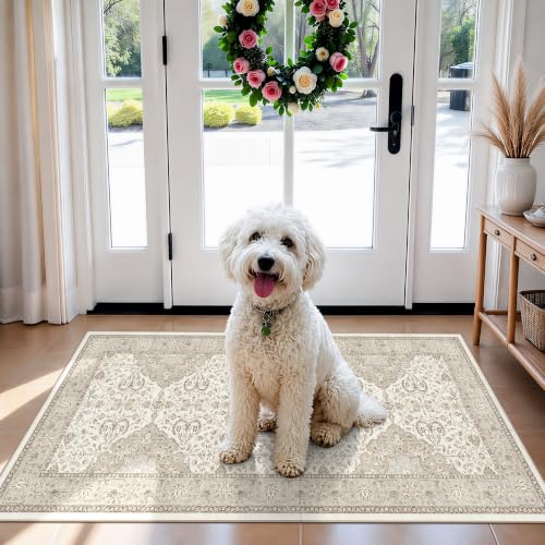 HY HAOYUNLAI Washable 2x3 Entryway Area Rug Non-Slip Slim-Profile Carpet - color: Ivory, size: 2' x 3' (Rectangular)
