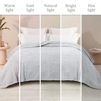 Whale Flotilla Lightweight Fleece King Size Blanket for Bed, Light Grey - color: Light Grey, size: King(90x104 Inch)