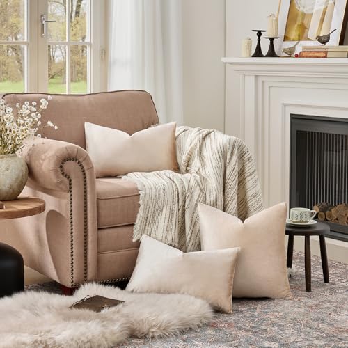 GIGIZAZA Velvet Pillow Covers 12x20 Decorative Pillows Pack of 2 Beige - color: Champagne, size: 20" x 12" (Pack of 2)