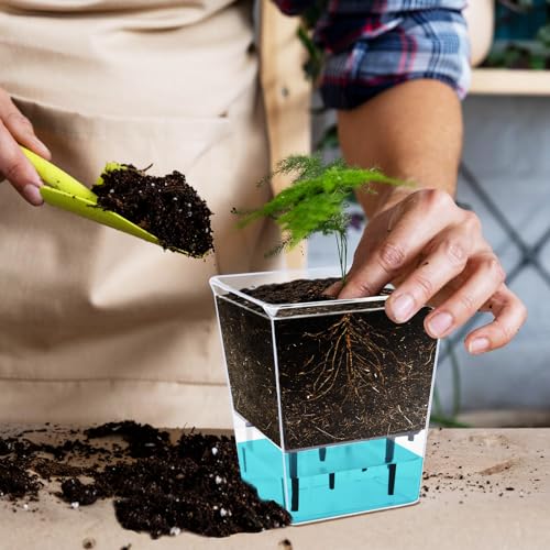Self Watering Pots Set, Clear Self Planter Pot for Indoor Plants - size: Large, Medium, Small