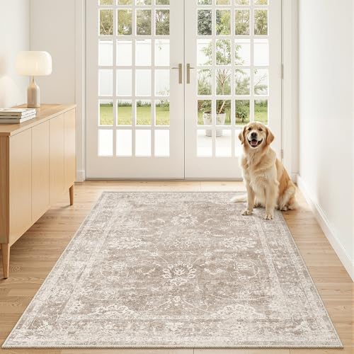 Madane 3x5 Area Rugs for Entryway, Washable Neutral Soft Rugs Brown/Sand - color: Brown/Sand, size: 3' x 5' (Rectangular)