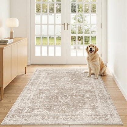 Madane 3x5 Area Rugs for Entryway, Washable Neutral Soft Rugs Brown/Sand - color: Brown/Sand, size: 3' x 5' (Rectangular)