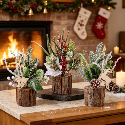 winemana Christmas Table Decorations Indoor Xmas Centerpieces Decor, 3 Pack - size: Style 1