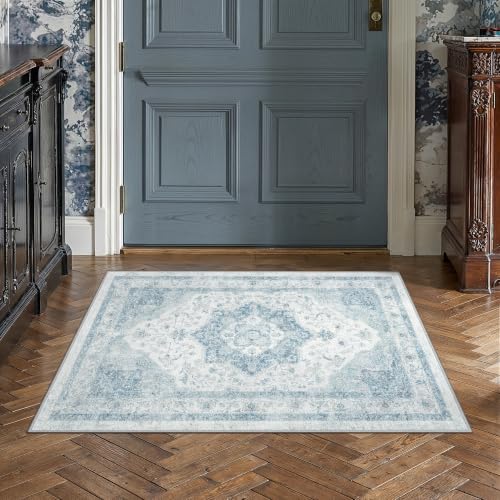 2x3 Blue Neutral Area Rug - color: Farmhouse | Blue, size: 2' x 3' (Rectangular)