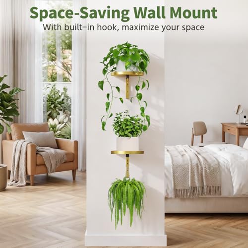 LASZOLA Plant Hanger Holder Window Shelf Wall Mounted Indoor, 2 Pcs Gold - color: Gold, size: 2