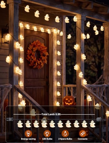 8.5FT Halloween Ghost Lights Outdoor, 10 LED Plug in Halloween Lights - color: Ghost String Lights