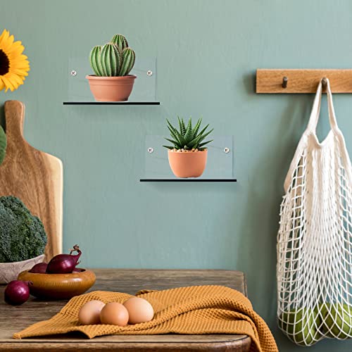 Yalikop 5 Pieces Acrylic Floating Shelves Small 4'' Wall Clear - color: Clear