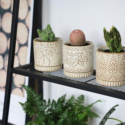 Gepege Ceramic Succulent Pots, 4 Inch Small Plant Pots with Drainage - color: White, size: 4 Inch - Set of 4