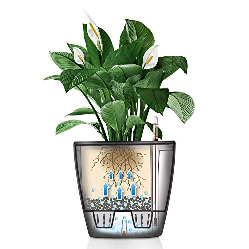 Lechuza Classico Premium LS 28 Silver Metallic 16048 - color: Silver Metallic, size: D28 H26 cm