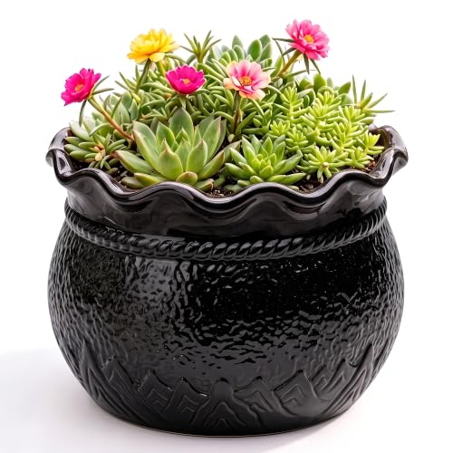 Ceramic Planter Pots, 8 Inch Plant Pot for Indoor Plants, Black - color: Black, size: 8 Inch