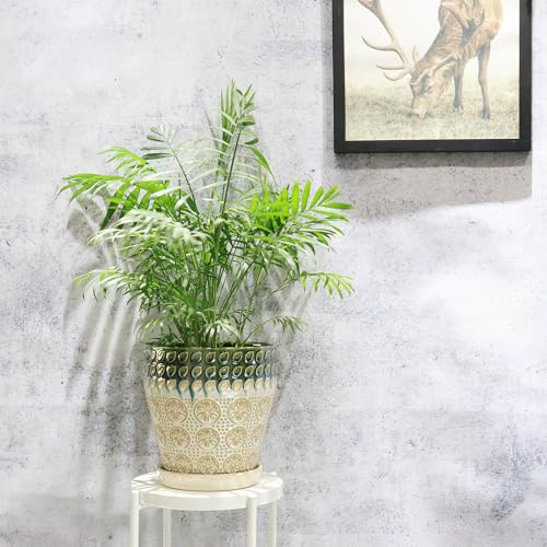 Ceramic Planter Pots for Indoor Plants, 8Inch + 6 Inch Plant Pot with Drainage Holes, Saucers and Mesh Pads, Succulent Orchid Flower Pot -Set of 2 - size: set of 2-8inch+6inch