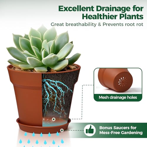 T4U Terracotta Pots for Plants 5 Inch with Saucer, Clay Flower Pot 8 Pack - color: Terracotta, size: 5 inch