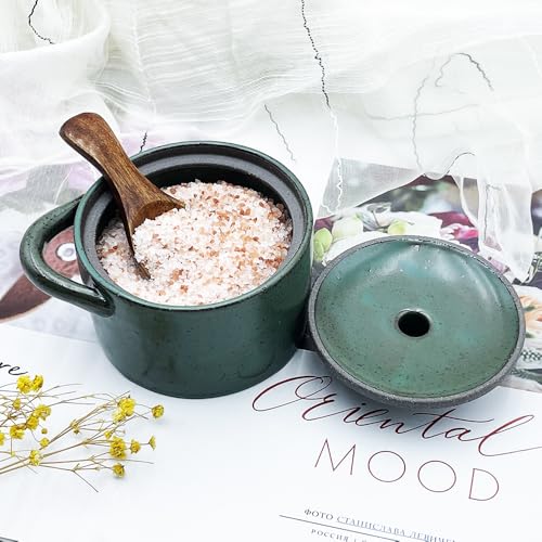 8 oz Ceramic Salt Cellar with Lid & Wooden Spoon,Countertop Salt Container,Sugar Bowl,Spices Jar| Artisan Kitchen Decor(Green) - color: Green A