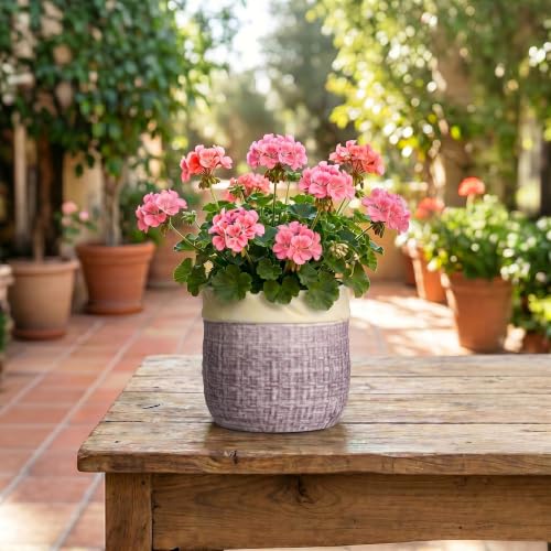 6 Inch Planter, Ceramic Pots for Plants, Round Flower Pots, Purple - color: Purple, size: 6 Inch