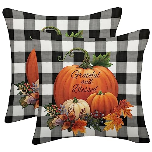 Fall Pillow Covers 18x18 Set of 2, Autumn Watercolor Buffalo Plaid Pumpkin Throw Pillows Linen Farmhouse Thanksgiving Fall Decor Outdoor Cushion Case for Home Sofa Bedroom Living Room - color: Pumpkin, size: 18" x 18" (Pack of 2)