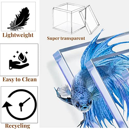 KissYou 2‑Pack Clear Boxes with Lids 4.72 x 4.72 x 4.72 Inch Display Box - size: 4.72 x 4.72 x 4.72 Inch