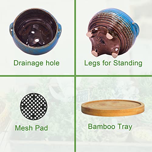 Succulent Pots, 4 Inch Small Plant Pots with Drainage Tray Set of 6 - color: Colorful - 4 Inch