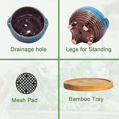 Succulent Pots, 4 Inch Small Plant Pots with Drainage Tray Set of 6 - color: Colorful - 4 Inch