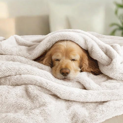 Exclusivo Mezcla Fuzzy Plush Fleece Bed Blanket Twin XL Size, Beige - color: Beige, size: 90x66 IN