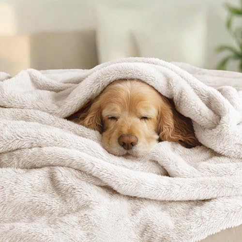 Exclusivo Mezcla Fuzzy Plush Fleece Bed Blanket Queen Size, Beige - color: Beige, size: 90x90 IN