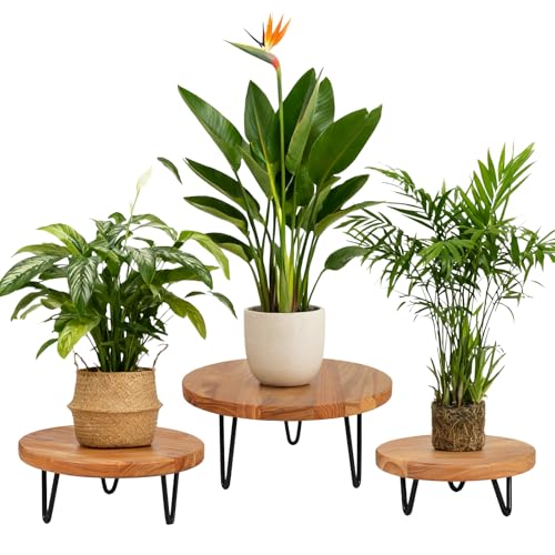 Wood Plant Stand, Wooden Round Plant Stand for Indoor Plants, Modern Plant Holder for Succulent Plant Nursery Pot Flower Pot (S+M+L) - size: S+M+L