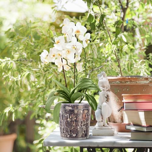 TRUEDAYS Orchid Pot, 4 Pack 6 Inch Plant Pot with Drainage - size: 6Inch-4Pack