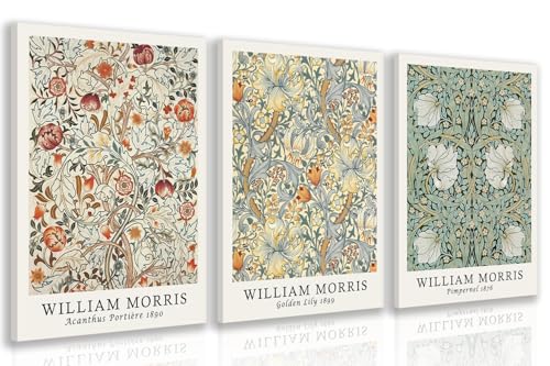 IAFWZX Wrapped Canvas William Morris Floral Wall Art Set of 3, 16x24 in | William Morris Vintage Floral Wall Decor, Mid Century Boho Botanical Art Prints, Vintage Art Decor for Cottage and Farmhouse - color: WilliamColorFlowers, size: 24"L x 16"W