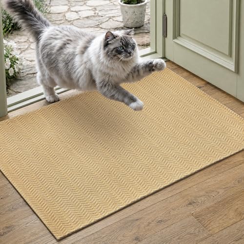 MatEssenz Entryway Rug 2' x 3', Washable Indoor Door Mat, Non Slip Low Profile Area Rug, Durable Herringbone Woven Farmhouse Rug for Front Door, Mudroom, Laundry Room, Khaki - color: Khaki, size: 2' x 3' (Rectangular)