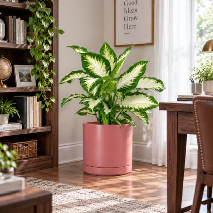 D'vine Dev 10 Inch Ceramic Planter Pot, Dusty Rose, 94-O-E-R - color: Dusty Rose, size: Large