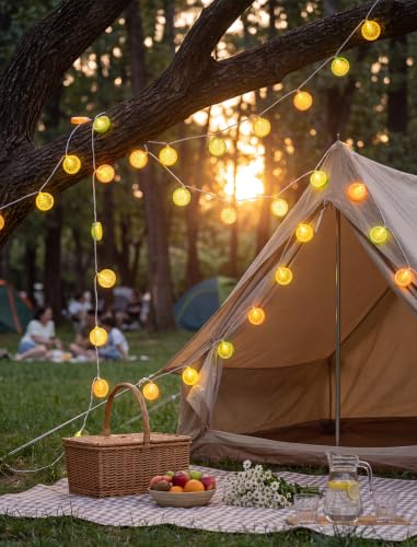 8.5Ft Lemon String Lights,10 LED Summer Outdoor Fairy Lights Plug in - color: Lemon String Lights