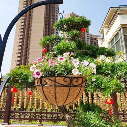 EIMQUVW Outdoor Metal Hanging Planters Basket (4pack, 14 inch) Hanging Baskets for Plants Chain Round Wire Plant Holder with Coco Fiber Liners for Garden, Patio, Deck, Porch(Flower Border) - size: 14 Inch