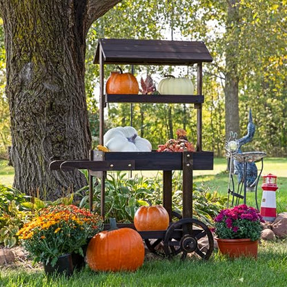 Sunnydaze Flower Cart Display Stand with Wheels, Pine Wood, 49” H, Brown - color: Pine