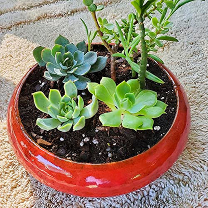 Succulent Pots with Drainage, 7.3 Inch Ceramic Bonsai Pots for Plants - color: Red