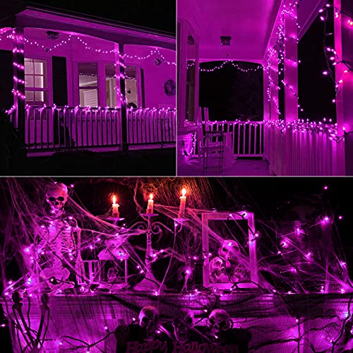 Toodour Purple Halloween Lights, 12.5ft 50 Count Incandescent String Lights - color: Purple, size: 12.5ft