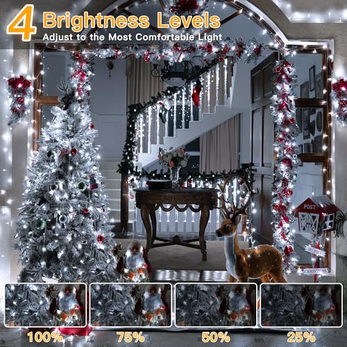 Ollny Christmas Lights Outdoor Cool White, 1000LED 328FT with Remote - color: Cool White, size: 1000 LEDs