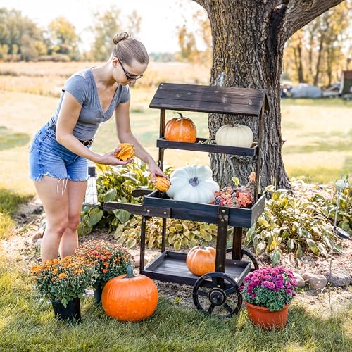 Sunnydaze Flower Cart Display Stand with Wheels, Pine Wood, 49” H, Brown - color: Pine