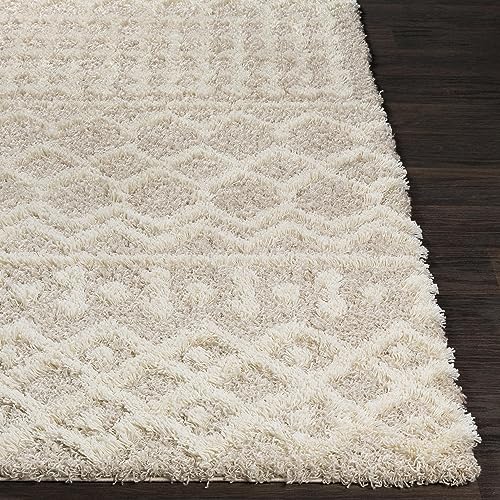 Livabliss Hapsburg Moroccan Shag Area Rug, 8'10" x 12', Beige - color: Beige, size: 8'10" x 12' (Rectangular)