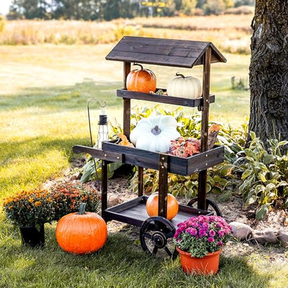 Sunnydaze Flower Cart Display Stand with Wheels, Pine Wood, 49” H, Brown - color: Pine