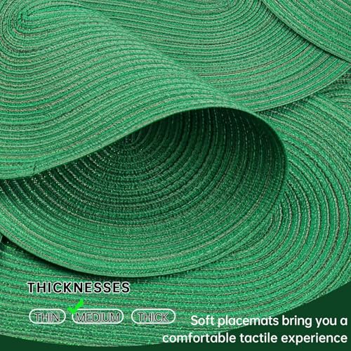 Placemats Set of 6, Woven Oval Braided Dining Table Mats(Green Shine) - color: Green Shine, size: 6 pcs