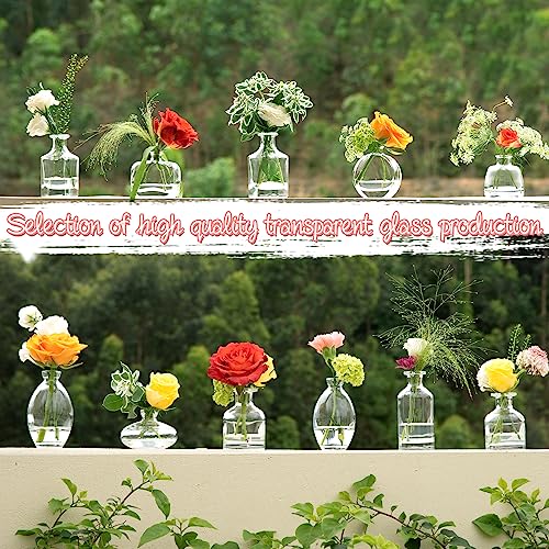Bud Vases Set of 24, Glass Bud Vase in Bulk, Clear Bud Vases - color: Clear Set of 24